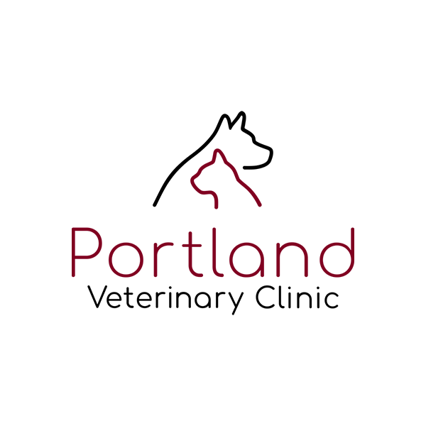 Portland Veterinary Clinic Coupons