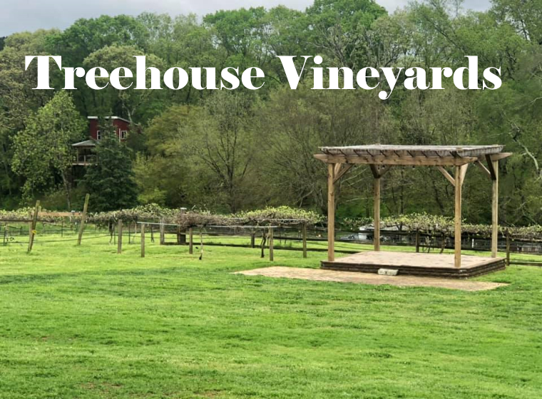 Treehouse Vineyards Entertainment & Parties Monroe, NC