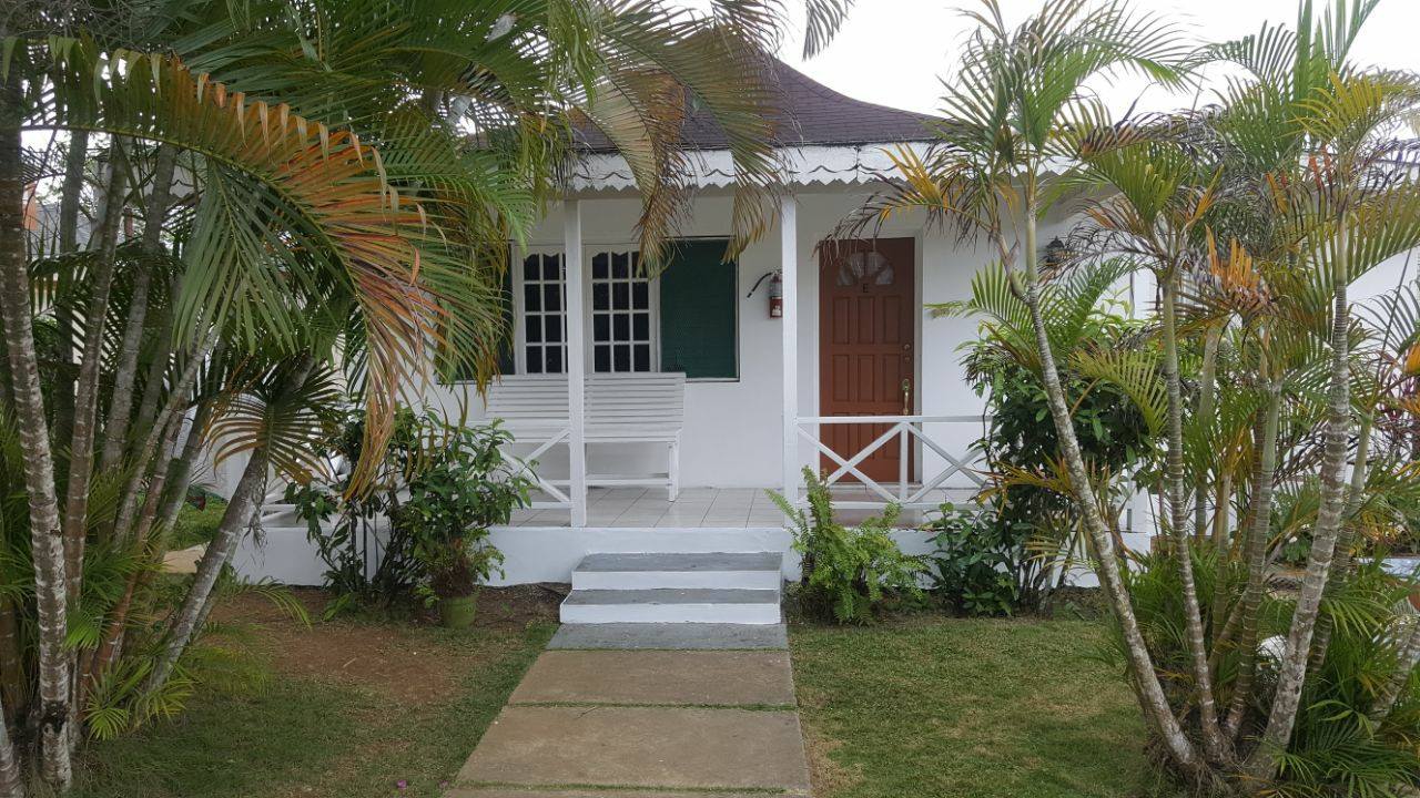 Palm Tree Guest House Guest House Green Island, Hanover Parish