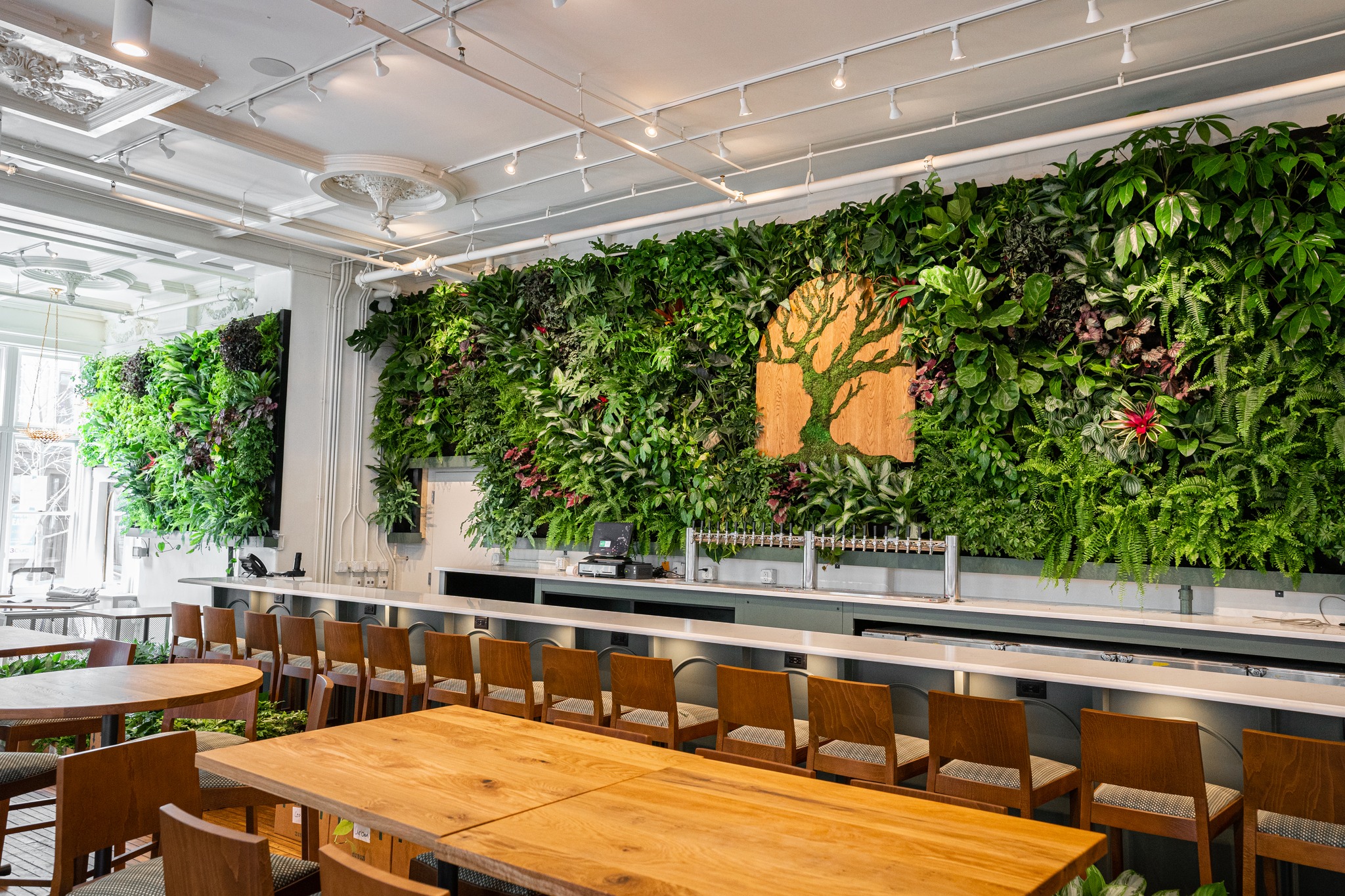 Alcove by MadTree Brewing Breweries