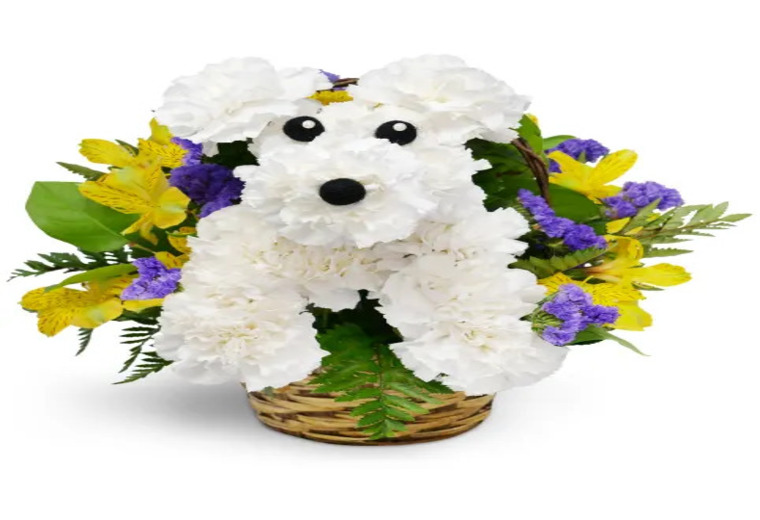 Lake Eola Florist Flowers & Florists Orlando, FL