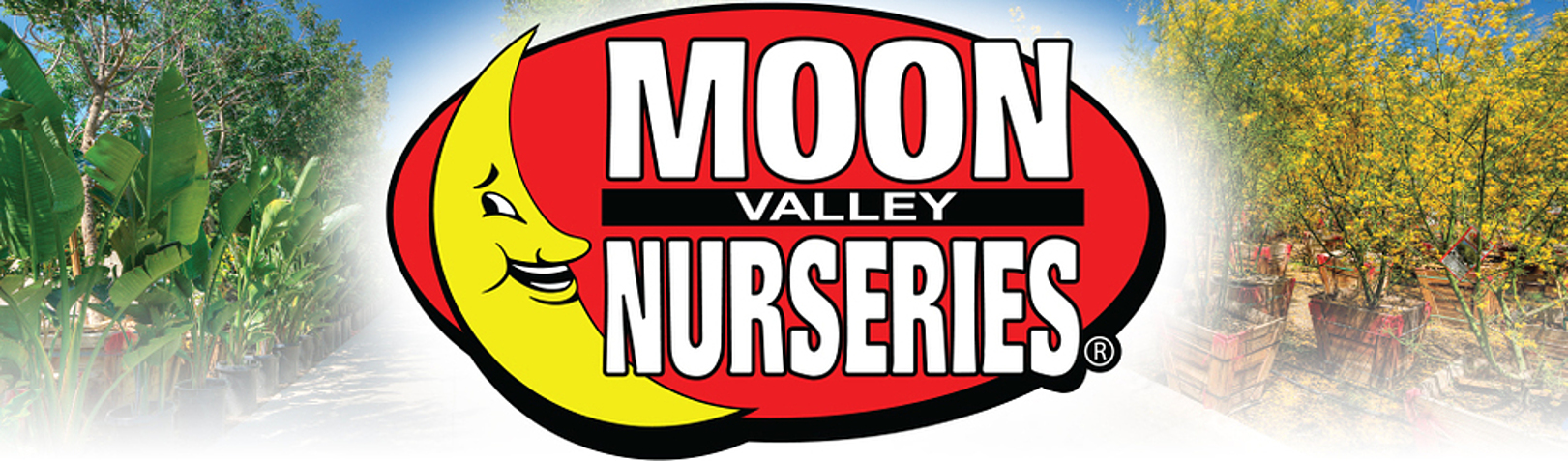 Moon Valley Nurseries Flowers Florists Murrieta Ca